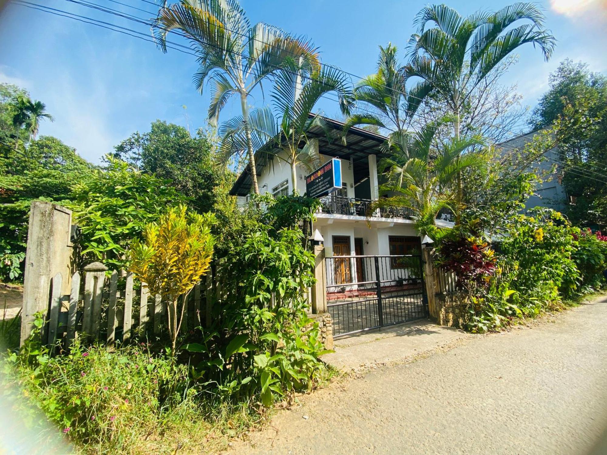 Blossom Inn Ella Ngoại thất bức ảnh